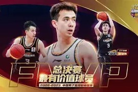 今年会官方入口-辽宁男篮以微弱差距战胜浙江队，成功夺冠(辽宁男篮险胜)