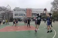 今年会网页版-俄罗斯篮球联赛积分榜公布，东部与西部擂台(俄罗斯篮球联赛官网)