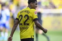 今年会官方入口-多特蒙德主场再次胜出，稳固积分榜位置的简单介绍