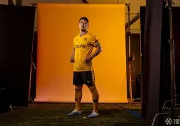 狼队主场踌躇满志斯旺西客场发挥出色的简单介绍